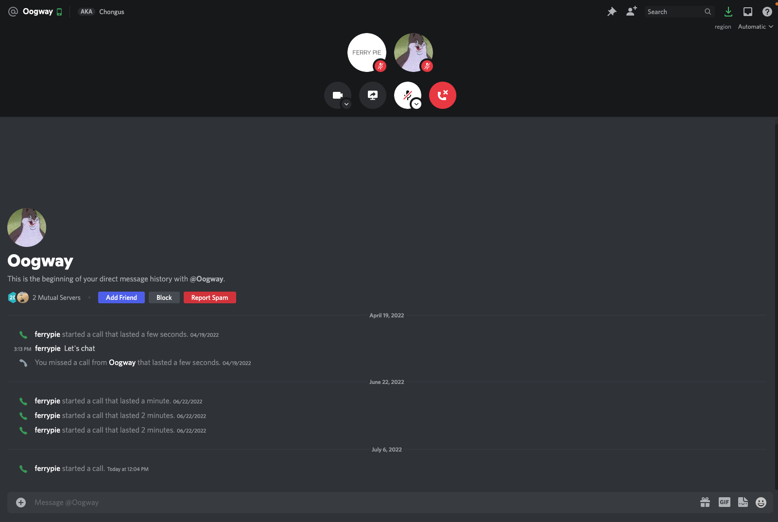 Discord’s Call UI