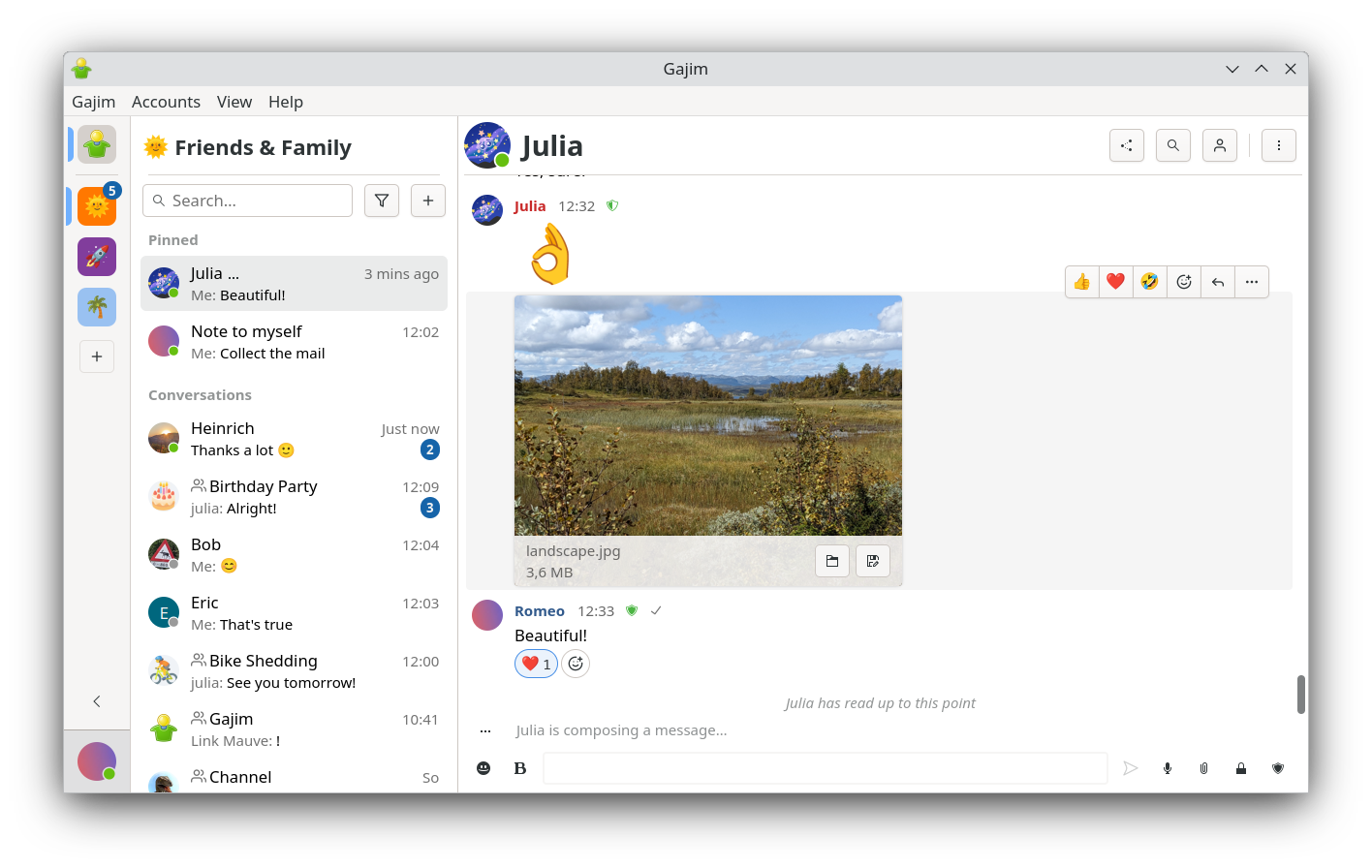 Gajim 2.0: Chat window