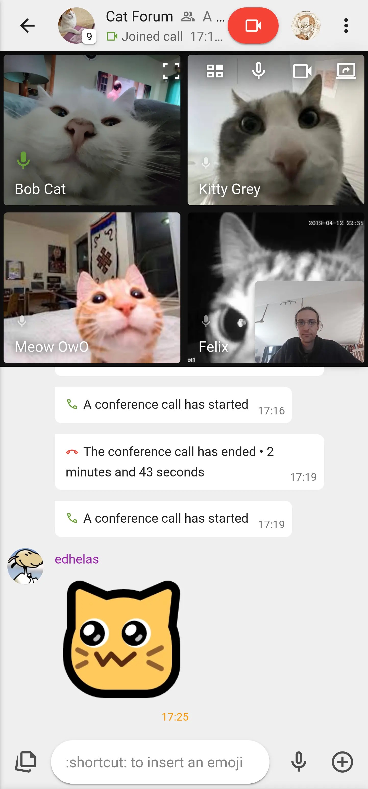 Movim 0.30 (Encke): Meow OwO bedazzled by the looks of Multi Participant Calls on his mobile device!