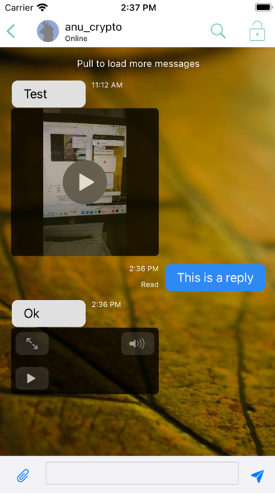 Preview of the Monal inline audio and video player